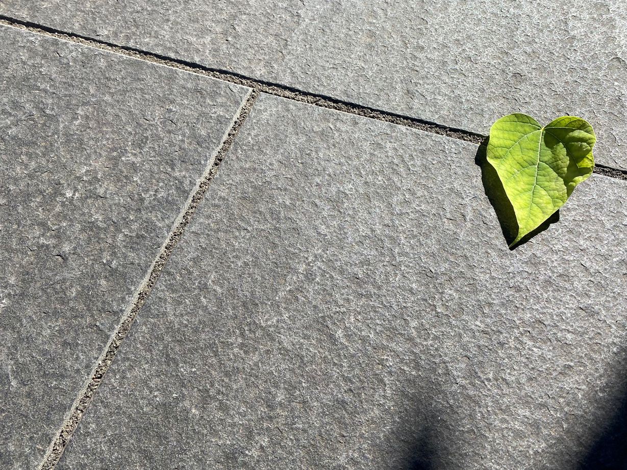 Elegant: Natursteinplatte Basalt Takeda in Anthrazit Terrassenplatte Basalt Takeda von oben mit Blatt-Deko