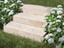 Blockstufen Travertin Medium Select mit Gebsch und Gras