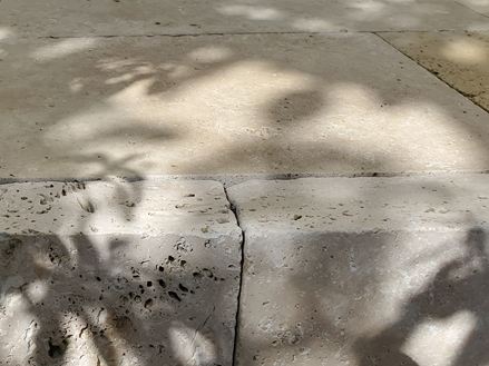 Kundenfoto_Grlitz_Rasenkante_Licht_und_Schatten