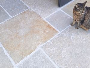 Kalkstein_Java_Sand_Katze_ Galerie 1