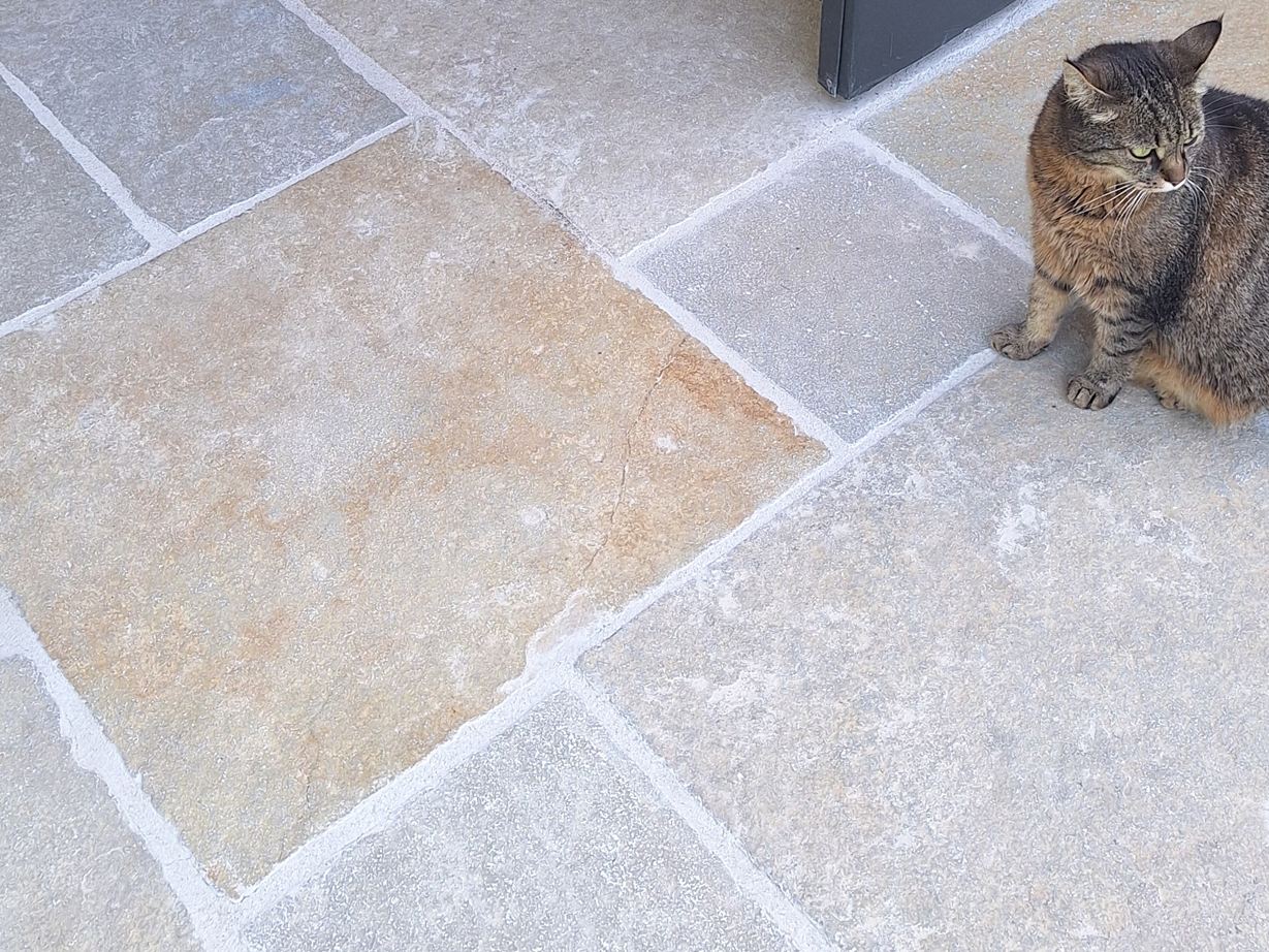 Kalksteinplatten Java Sand: warme Farbtöne. Kundenfoto Kalkstein_Java_Sand_Katze_ Galerie 1
