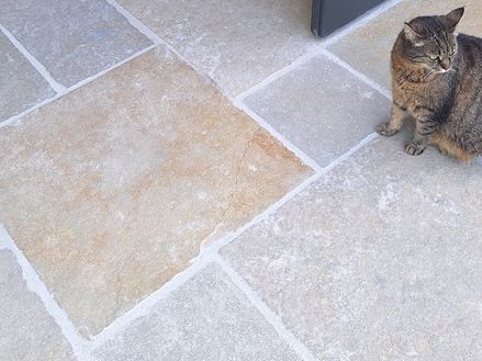 Kalkstein_Java_Sand_Katze_ Galerie 1