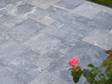 Rose ragt auf Marmorterrasse Afyon Grey