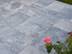 Rose ragt auf Marmorterrasse Afyon Grey
