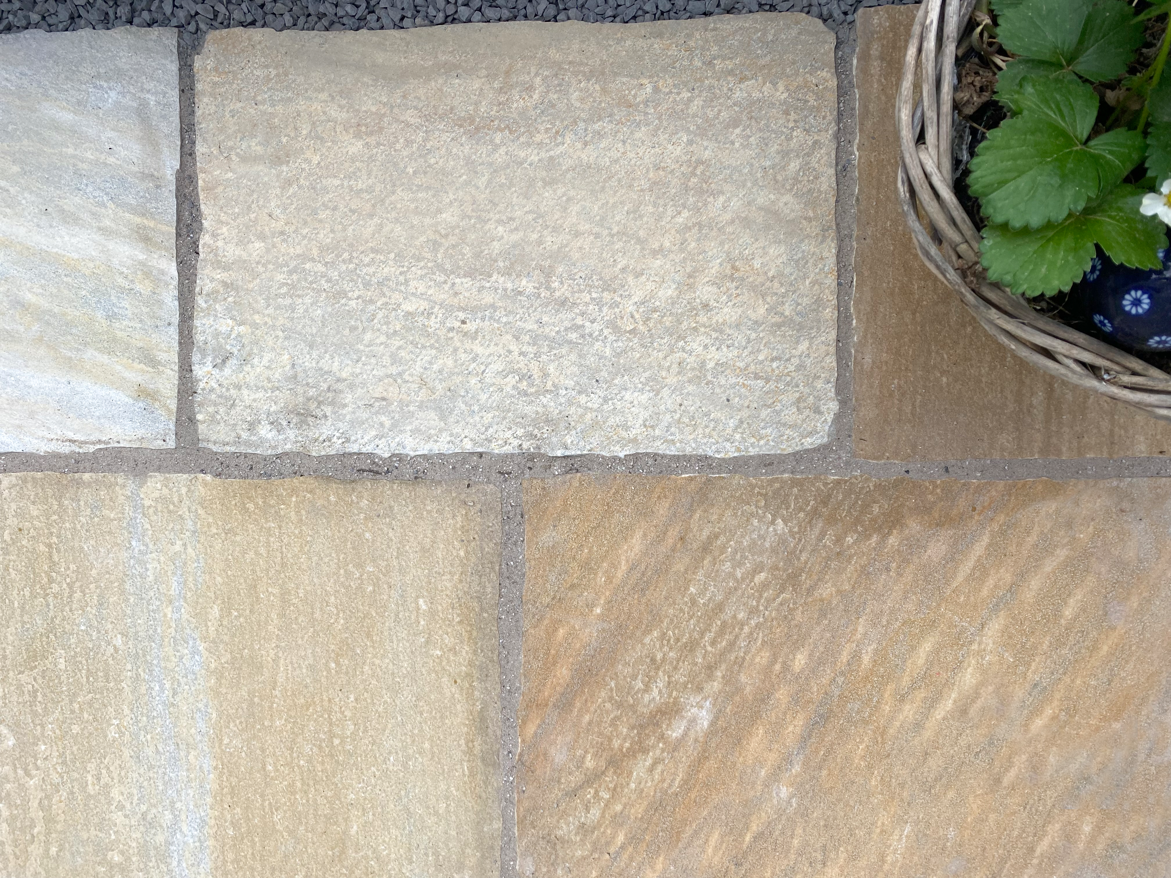 Schöne Farbtöne in Gelb, Sand und Grau Quarzit-Terrassenplatte-Blumen4