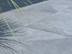 Pflanze wirft Schatten auf Terrasse mit Schieferoptik-Platten Alpine Grey