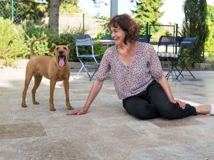 Frau sitzt auf Terrasse mit braunen Travertinplatten, neben ihr ein Hund