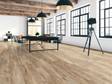 Studio-Apartment mit Holzoptik-Fliesen Canada Lodge