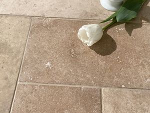 Travertin-Medium-Tulpe