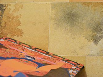 Nahaufnahme von Solnhofener Kalkstein mit faszinierenden Inklusionen