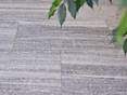 Verlegte Granitplatte Urban Grey Line in sanftem Grauton mit Pflanze