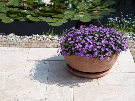 Blumentopf auf Travertin Medium SELECT