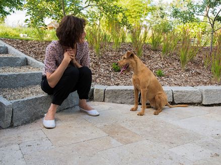 Mensch und Hund genießen den schönen Travertinboden
