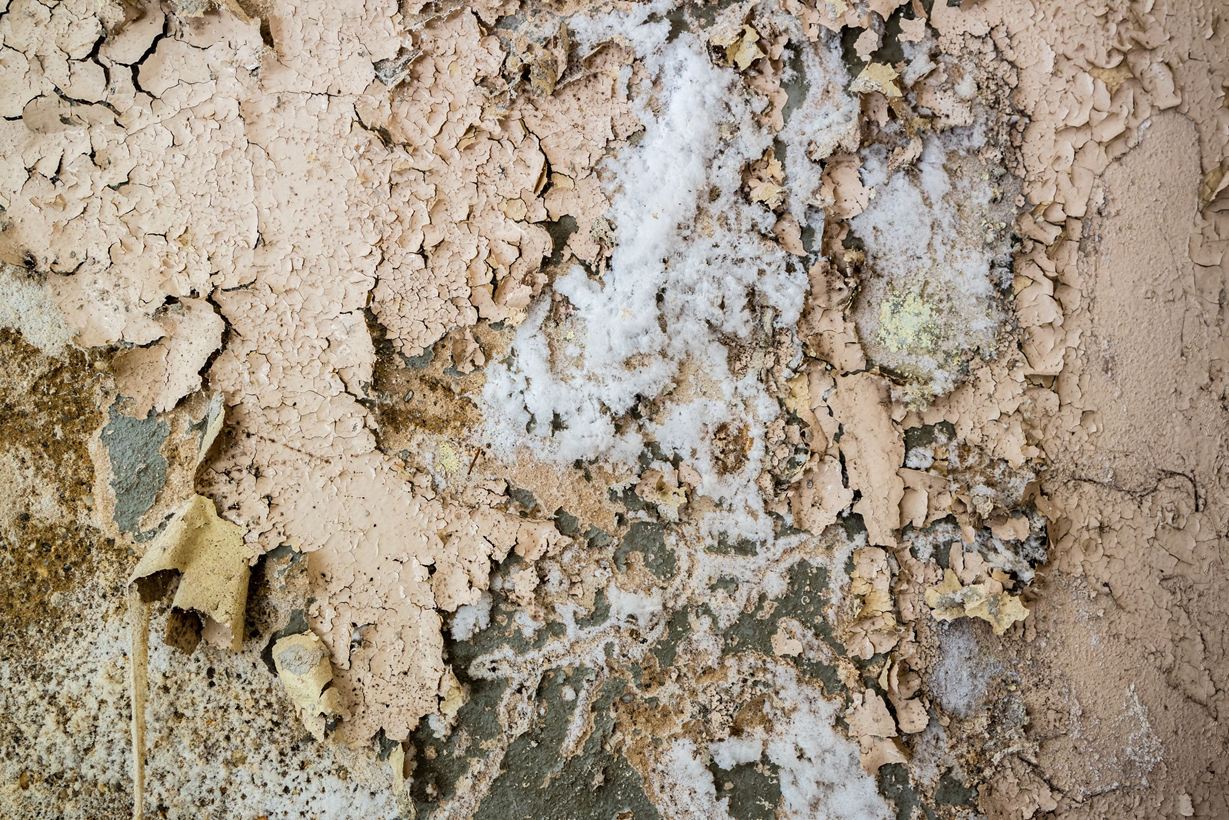 Naturstein mit Ausblühungen