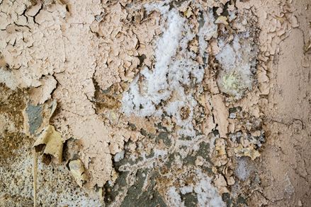 Naturstein mit Ausblühungen