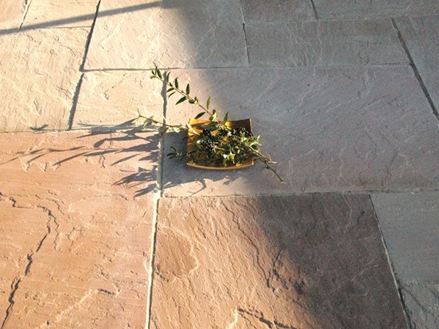 Platten Sandstein Modak gespalten large