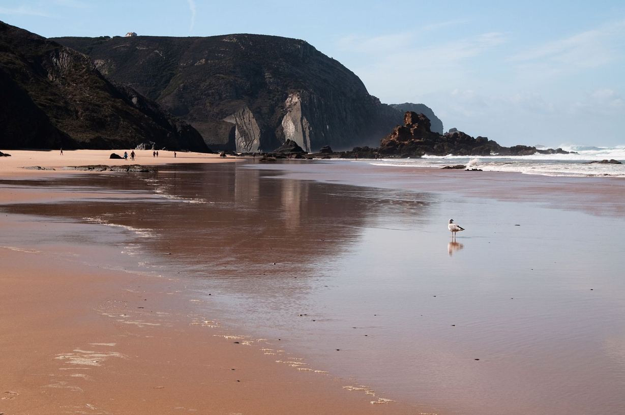 Geben einem besonderen Naturstein seinen Namen: Schieferfelsen an einem Strand in Portugal